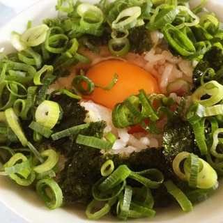 ダシ醤油でいただく！ネギ海苔丼